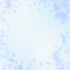 Light blue flower petals falling down. Alluring ro