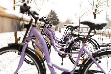 Obraz premium rent a bicycle in the city