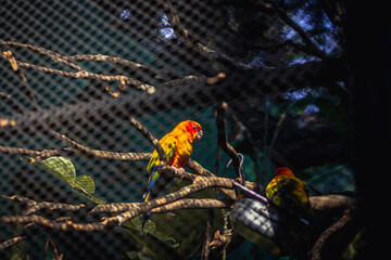 FOTOS FEITAS NO ZOOLOGICO DE SÃO PAULO.
