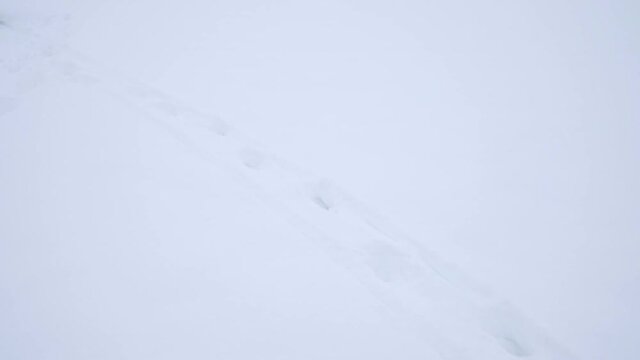 Schlitten schieben Falschrum 
