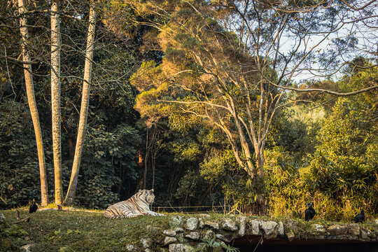 FOTOS FEITAS NO ZOOLOGICO DE SÃO PAULO.