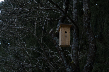 Vogelhäuschen im Wald