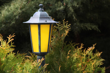 old lamp against the trees