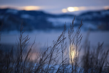 Winter twilight