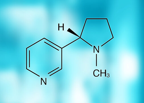 Chemical formula of nicotine.