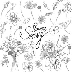 Spring Flowers Doodles style. Hand drawn botany elements. Froral collection illustrations