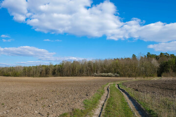 Rural landscape with a dirt road among plowed fields. Agricultural concept. Copy space.
