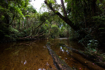 Landscape and nice sky