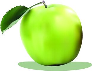 green apple, realistic vector, children's creativity, stickers, toys, children's books