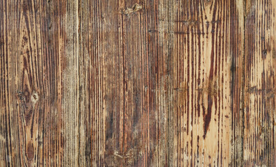 Fototapeta na wymiar texture of bark wood use as natural background.Brown wood texture. Abstract background, empty template. 