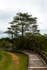 Landscape and nice sky