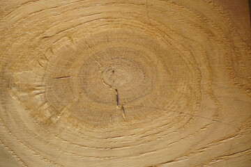 Holzmöbel