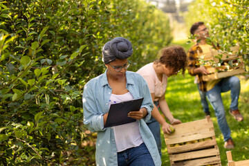 African American Woman taking notes of done work in the orchard