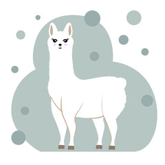 Llama cartoon alpaca. Lama animal vector isolated illustration. Cute funny hand drawn art. Design for card, sticker , fabric textile, t shirt. 