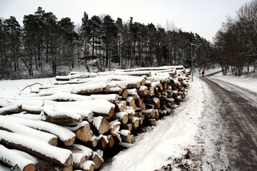 Snow covered lumber and timber logs. Large piles of wooden log outside. Snowy weather. During the winter in J&auml;rf&auml;lla, Stockholm, Sweden, Europe.