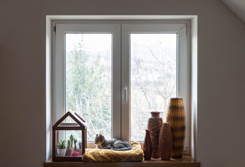 Cat sitting in the window on a soft, yellow blanket with mid century modern ceramic vases and small...