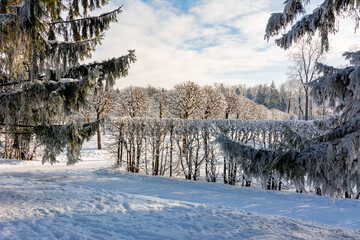 Catherine park in winter, Tsarskoe Selo (Pushkin), St. Petersburg, Russia