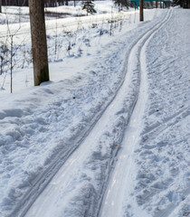 Obraz premium classical cross-country skiing trail in forest snow, closeup, selective focus