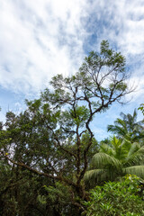 Landscape and nice sky
