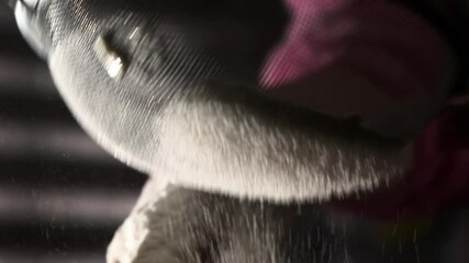 Woman Sifting Flour with Sieve. Backlit Close Up Scene in Kitchen. Slow Motion Shot. Making of Home Made Bread.