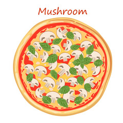 Italian mushroom pizza with champignons, cheese, ketchup and basil on a white background. Vector pizza illustration for menu, poster, advertisement, banner, website.