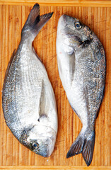 fresh fish on the board