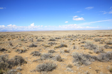 Beautiful back country in New Mexico, USA