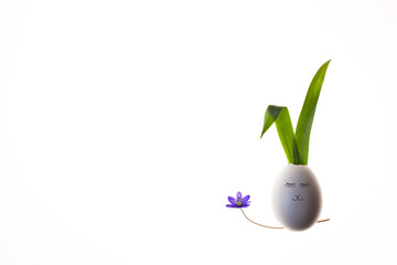 Bright white background for Easter greetings, the symbol of a rabbit from an egg shell and green leaves, minimalism