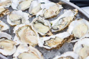 Opened oysters in a metal platter with ice