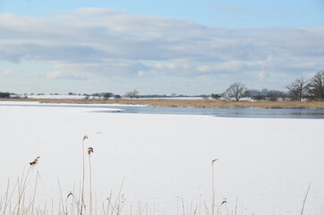 Frozen lake in Basnæs, Denmark