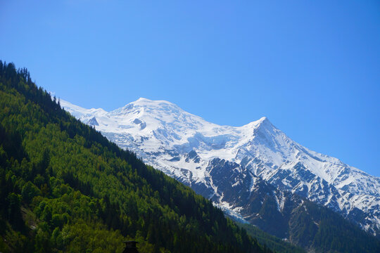 Chamonix France Mountains With Forest Stock Photo Stock Images Stock Pictures