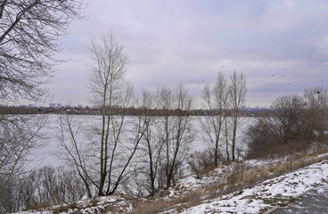 Winter landscape with trees and an ice-covered lake