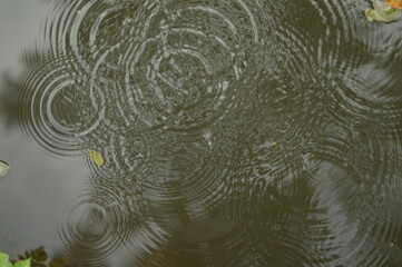 water ripples on sewer