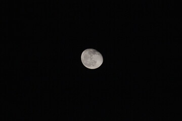 Obraz premium moon
