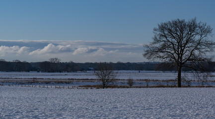 Kalte Schneelandschaft von Feldern an einem frühen Morgen
