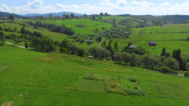 Ukraine. Rural hilly area. Summer. Farm. Ecologically clean area. Drone. Aerial view. Flight over the green meadow. The camera moves forward
