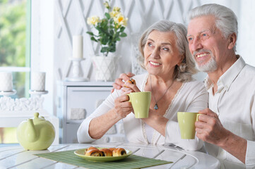 happy Senior couple portrait drinking tea