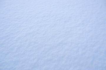 Blue snow as a background.