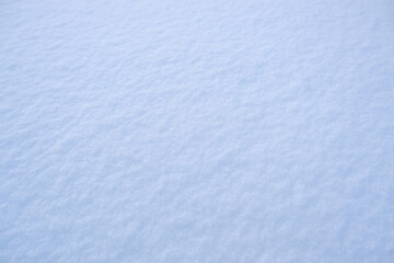 Blue snow as a background.