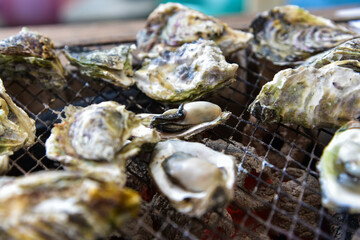 Roasted oysters in Penghu, Taiwan.