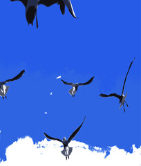 Something scared the seagulls and they rushed to fly away
