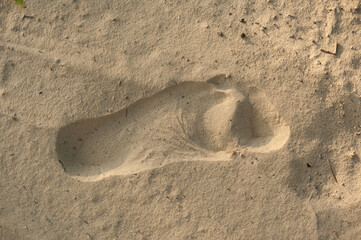 The footprint of a human foot on the sand