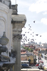grupo de palomas volando de una iglesia en la ciudad.
