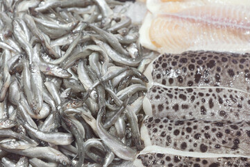 Sea fish close-up. Fresh smelt, catfish fillet, pangasius fillet.