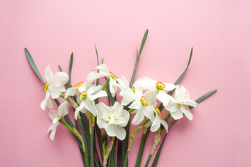 Bouquet of white daffodils on a pink background, top view, copy space 