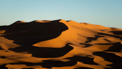 Sahara Dunes