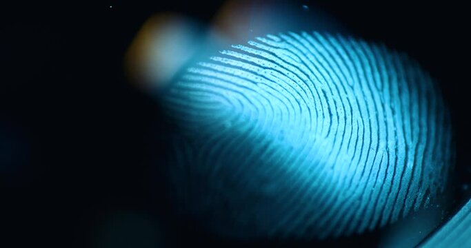 Macro close up of human fingerprint illuminated in blue light