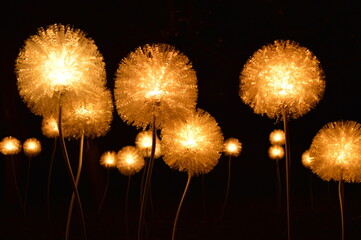 Lights resembling flowers