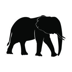 Fototapeta premium Walking big elephant strong power with outline black and silhouette Thailand, vektor elephant