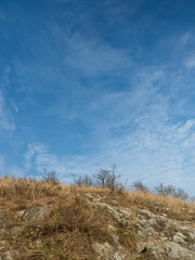 Winter yellow dry grass with trees and blue sky with clouds on horizon.
